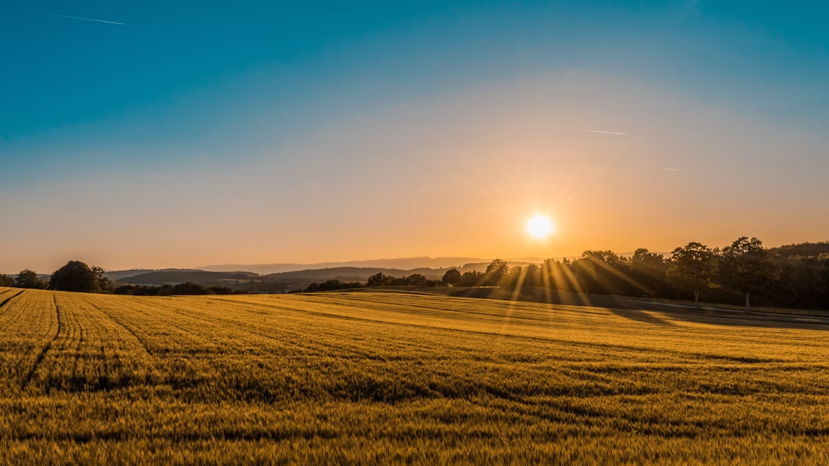 Sustainable Agriculture